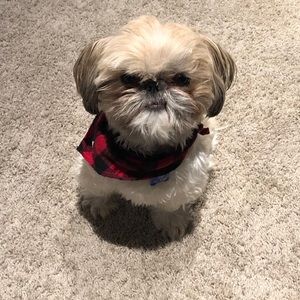 Meet your Posher, Erin